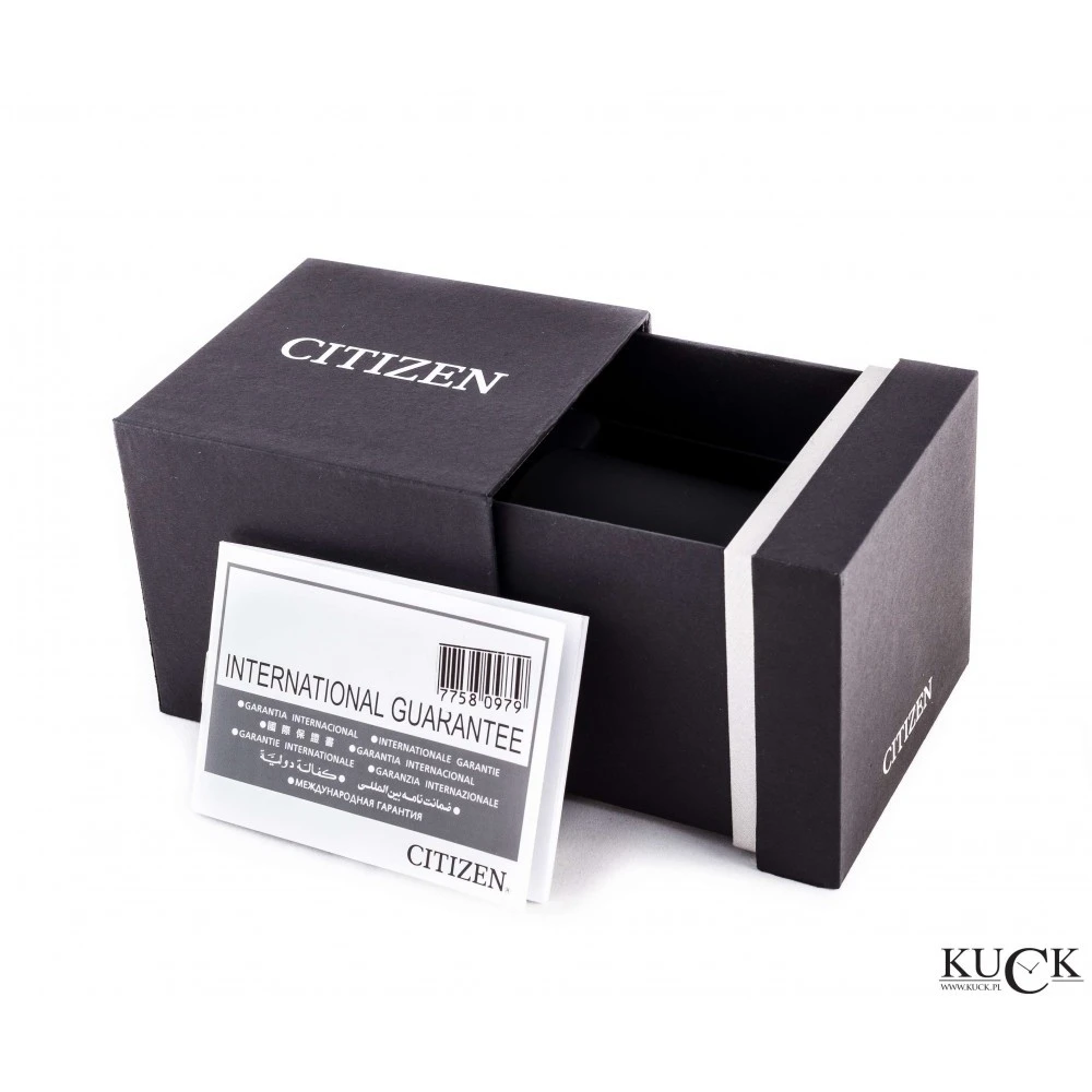 Citizen Eco-Drive AO9020-50E, zdjęcie 2 z 2