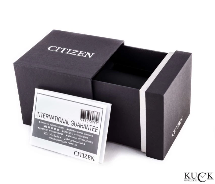 Citizen Elegant Crystals Eco-Drive FE1246-85A, zdjęcie 2 z 2
